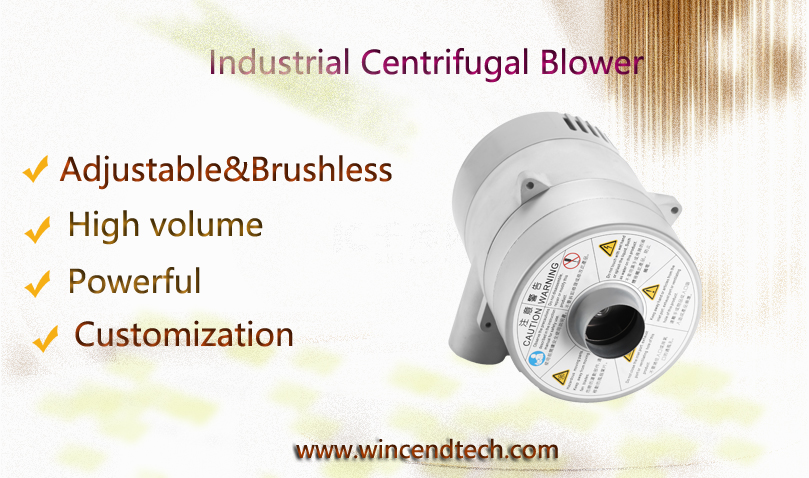 Industrial Hot Air Blower Equipment
