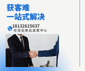 T云內(nèi)貿(mào)版