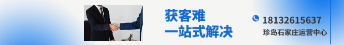 T云內(nèi)貿(mào)版2