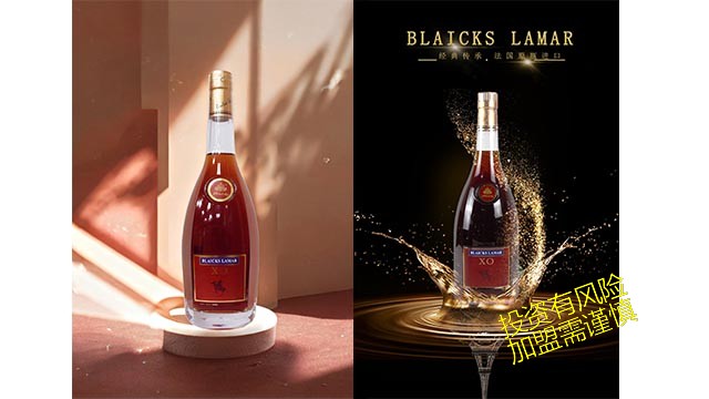 惠州洋酒加盟代理 中莱旺国际科技供应
