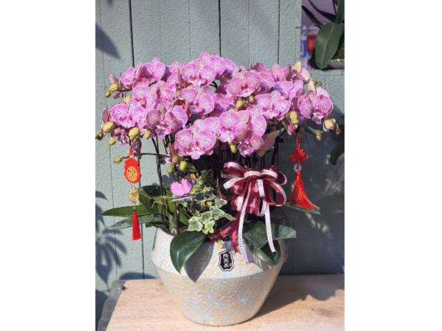 奉賢區(qū)寫字樓花卉出租養(yǎng)護(hù) 服務(wù)為先 上?；蹢鲌@藝景觀設(shè)計供應(yīng)