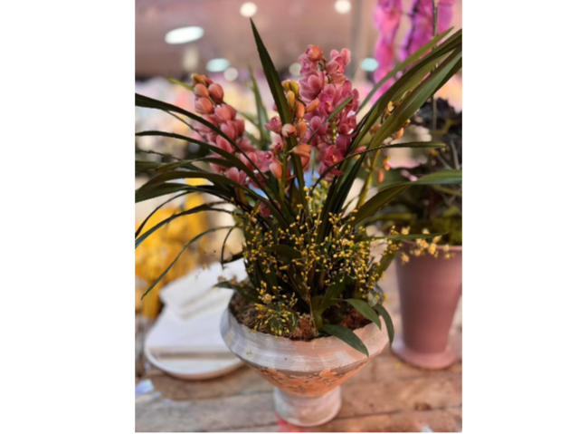 徐匯區(qū)大型花卉租賃方案 客戶至上 上海慧楓園藝景觀設(shè)計(jì)供應(yīng)