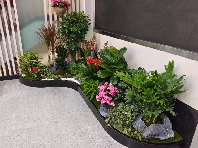 松江區(qū)無憂出租花卉哪家好 歡迎來電 上?；蹢鲌@藝景觀設計供應