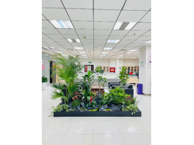 寶山區(qū)多種類(lèi)出租綠植推薦 貼心服務(wù) 上?；蹢鲌@藝景觀(guān)設(shè)計(jì)供應(yīng)