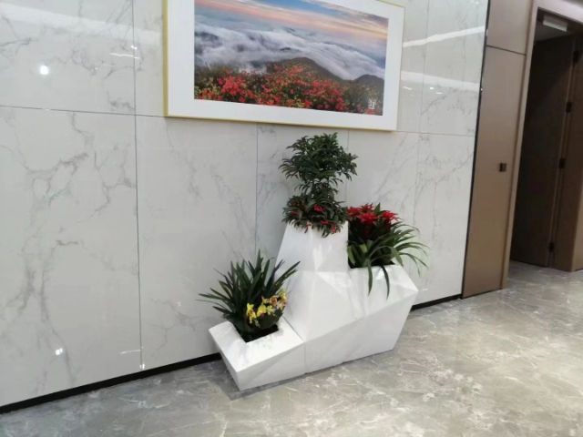 崇明企業(yè)前臺(tái)花卉租賃公司價(jià)格 真誠(chéng)推薦 上海慧楓園藝景觀設(shè)計(jì)供應(yīng)