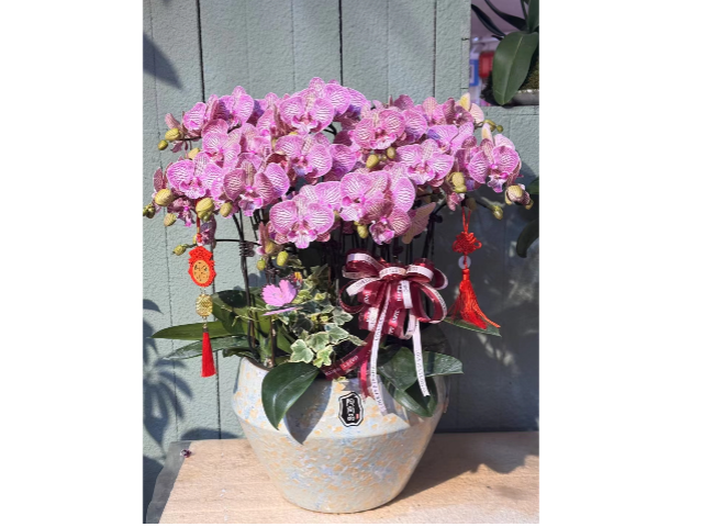 奉賢區(qū)創(chuàng)意花卉租賃公司服務(wù) 真誠(chéng)推薦 上?；蹢鲌@藝景觀(guān)設(shè)計(jì)供應(yīng)