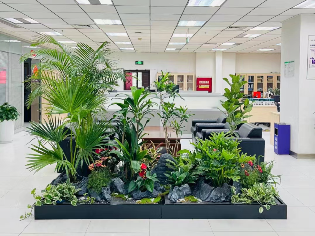 寶山區(qū)土壤改良室外綠化養(yǎng)護(hù)收費(fèi) 真誠推薦 上?；蹢鲌@藝景觀設(shè)計(jì)供應(yīng)