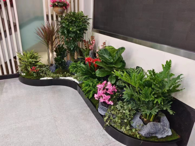 松江區(qū)售后戶外綠化養(yǎng)護(hù)報(bào)價(jià) 服務(wù)為先 上?；蹢鲌@藝景觀設(shè)計(jì)供應(yīng)