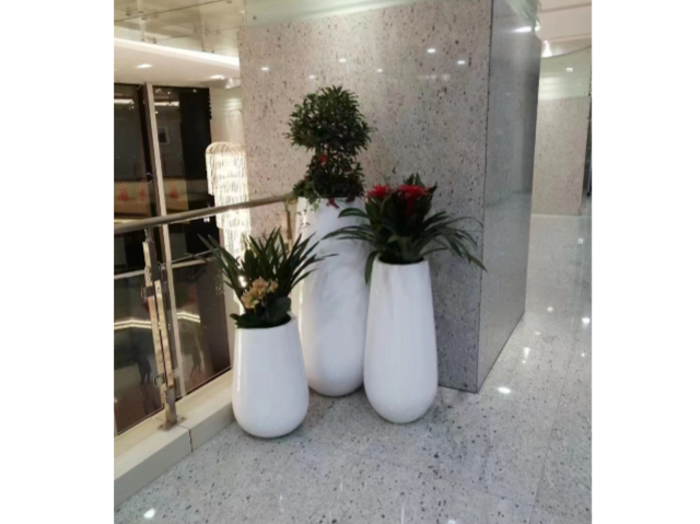 靜安區(qū)學(xué)校室外綠化養(yǎng)護(hù)多少錢一平方 貼心服務(wù) 上海慧楓園藝景觀設(shè)計(jì)供應(yīng)