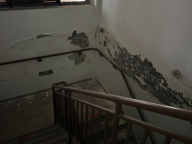 房屋修繕價(jià)格 四川固潤恒安防水工程供應(yīng)