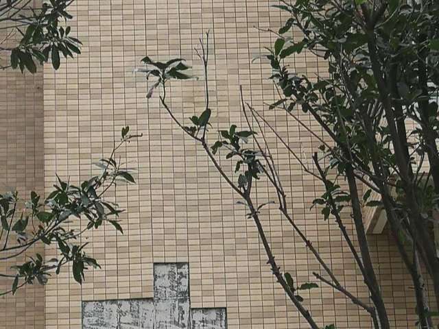 金堂可靠的饰面砖空鼓免破坏治理本地公司