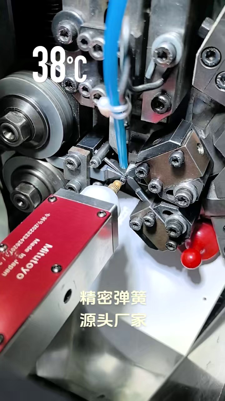 杭州油封弹簧压缩弹簧,压缩弹簧