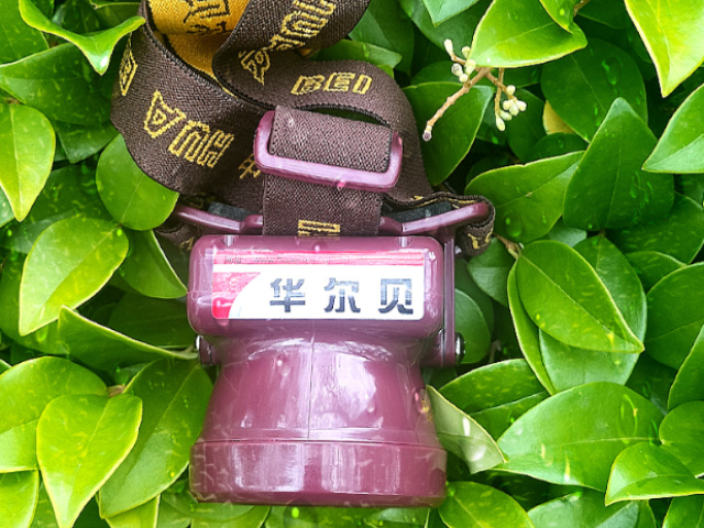 台州好用的高亮超清割胶头灯成本价,高亮超清割胶头灯