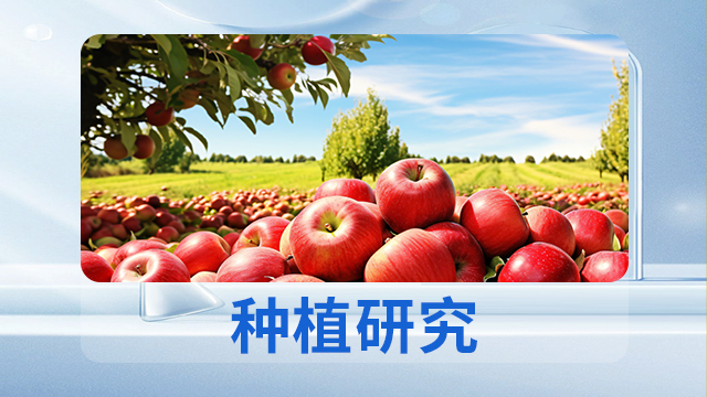 廣東無(wú)損檢測(cè)水果產(chǎn)品