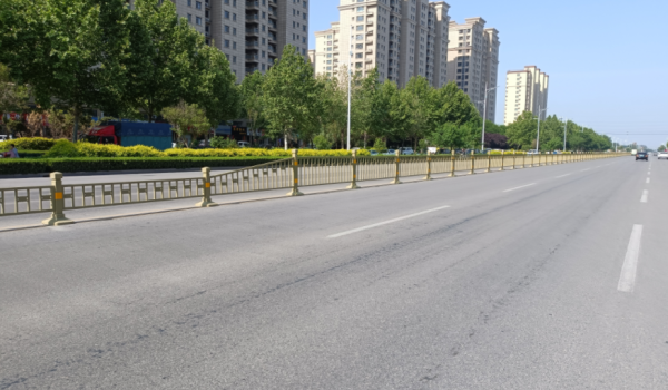 山東德州臨邑縣