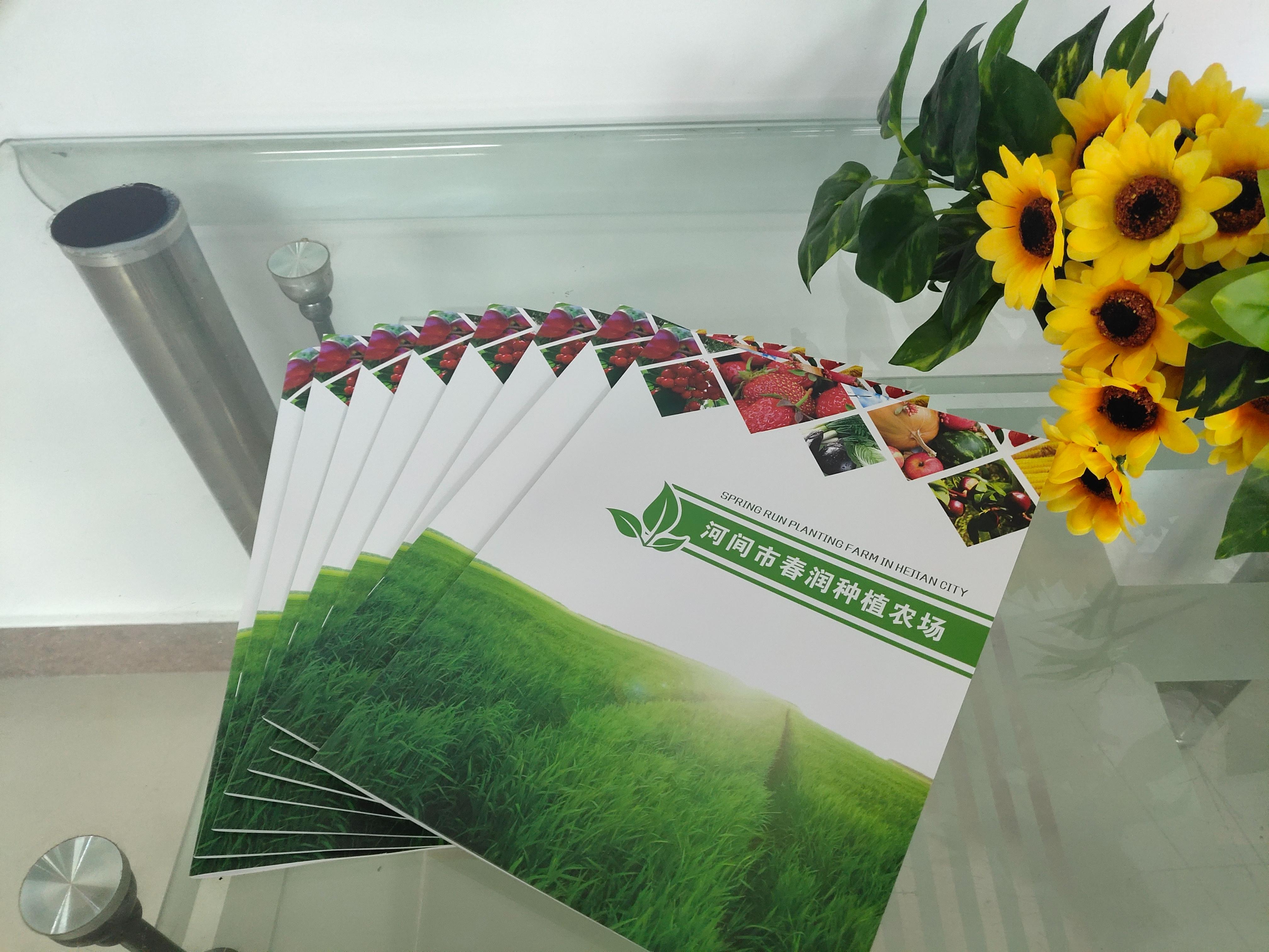 滄州廣告設(shè)計(jì)公司 滄州廣告公司 滄州企業(yè)畫冊(cè)設(shè)計(jì)制作