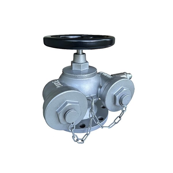 DN100水泵接合器