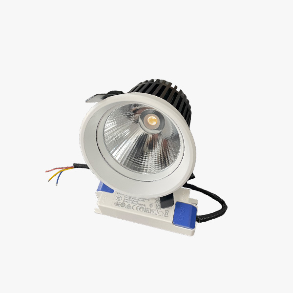 LED大福款照貨天花燈