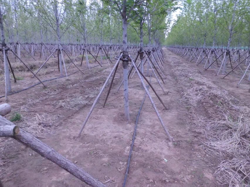 ʵ������