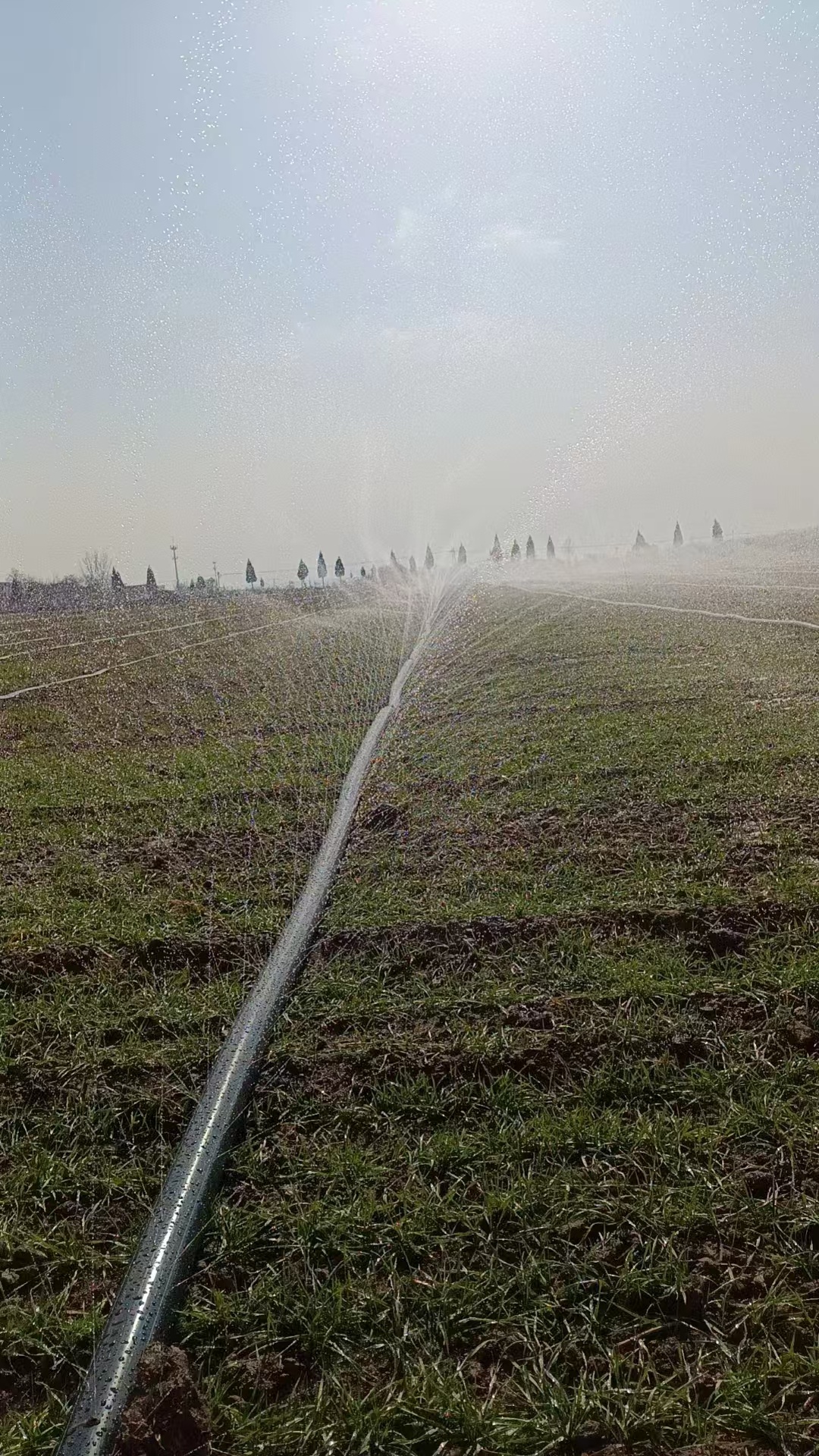 ѡ��΢�����Ĺ������ũ���������