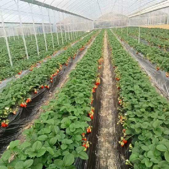 �㽭��ŷ�����ɷ����޹�˾�����µιܴ���ũҵ����¼�Ԫ