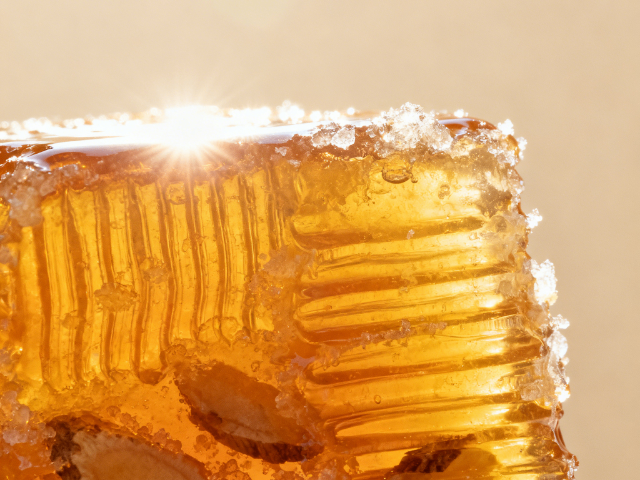 寧夏高產(chǎn)黃芪蜜,黃芪蜜