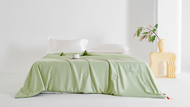 桐鄉雙宮絲蠶絲被外貿