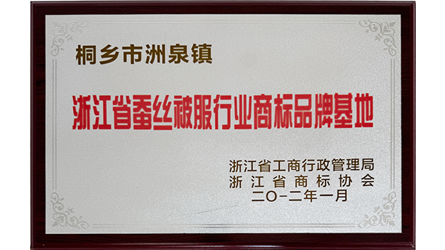 賓館蠶絲被成品加工貼牌 浙江五世同堂真絲家紡供應(yīng)