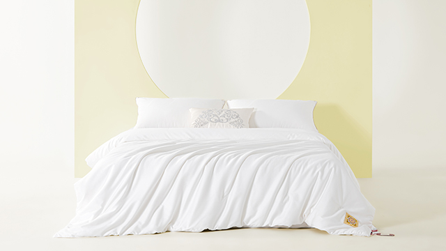 桑蠶絲蠶絲被代工廠