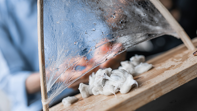 桐鄉(xiāng)100蠶絲被出口