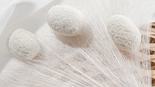 洲泉蠶絲被喜被要準(zhǔn)備幾條 浙江五世同堂真絲家紡供應(yīng)