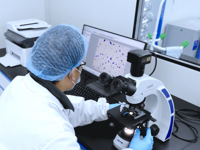 低糖菌粉制劑 創(chuàng)新服務(wù) 元生生物科技供應(yīng)