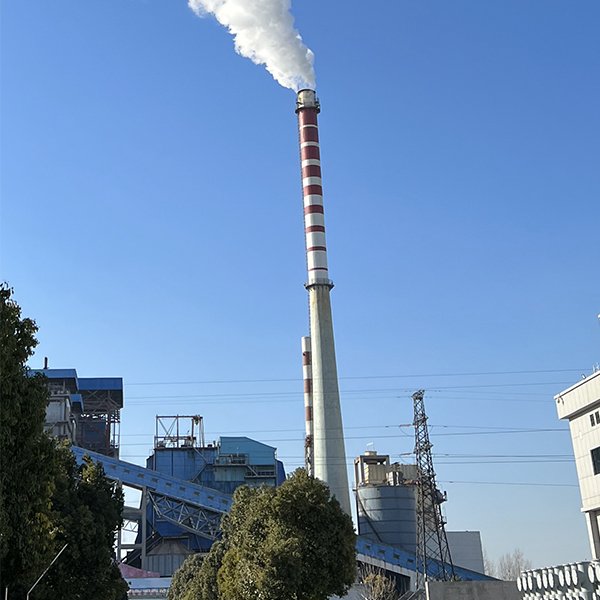 生物质锅炉脱硫脱硝除尘