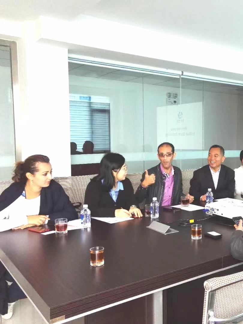 国外客商参观考察我司的脱硫脱硝脱汞一体化设备