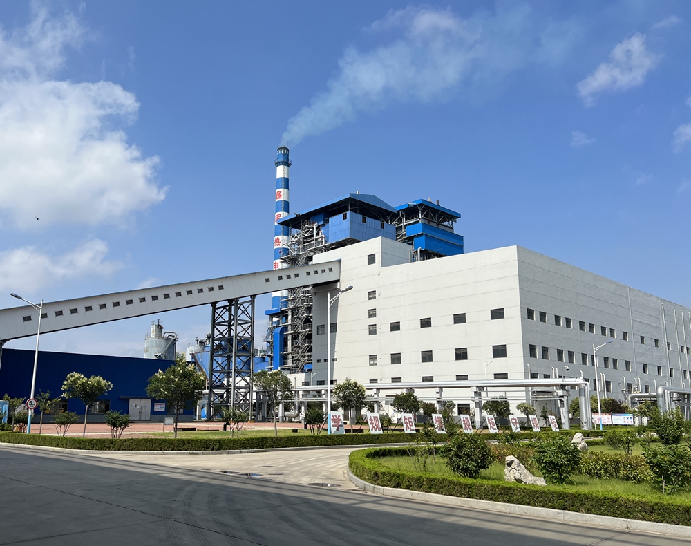 130吨燃煤锅炉和生物质锅炉脱硫脱硝