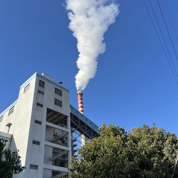 生物质水冷壁振动炉排锅炉脱硝