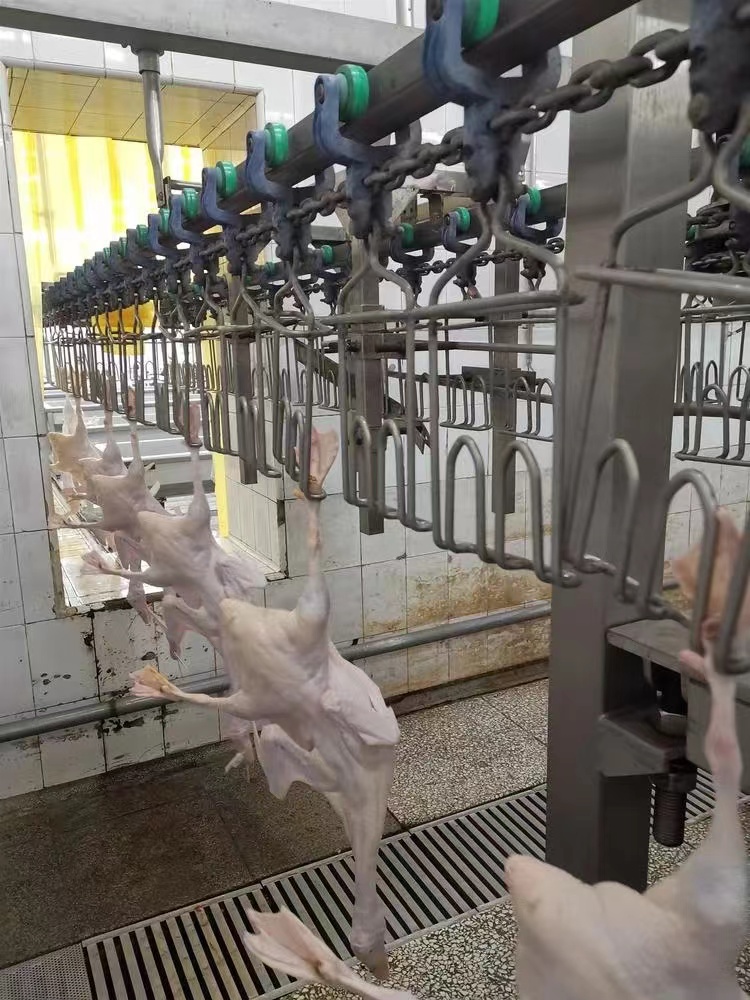 养殖屠宰行业污水处理案例——某养鸭场选错污水处理工程一天损失净利润20万,屠宰场污水处理案例