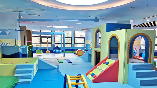 残联感觉统合实训室配置方案,感觉统合