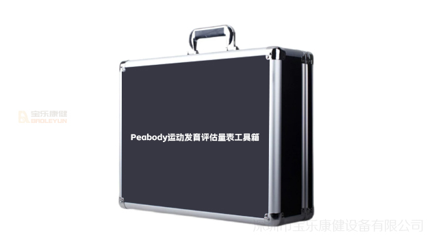 上海特殊教育学校自闭症评估工具箱包括哪些,送教上门工具箱