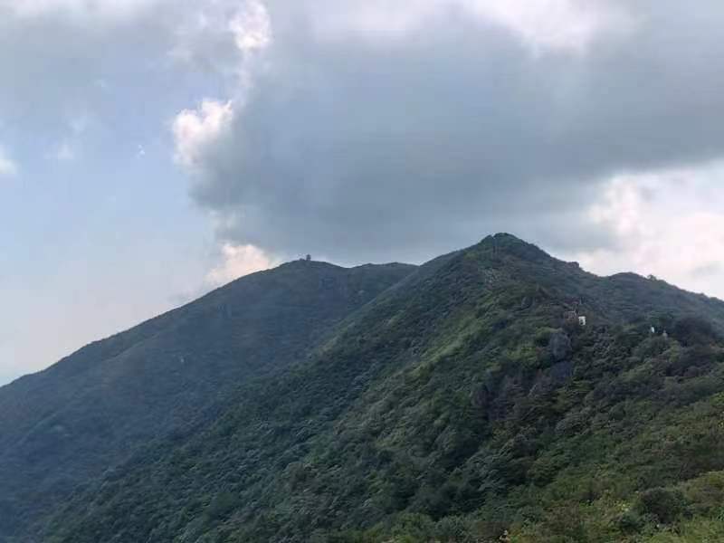 江西山蜂食品有限公司