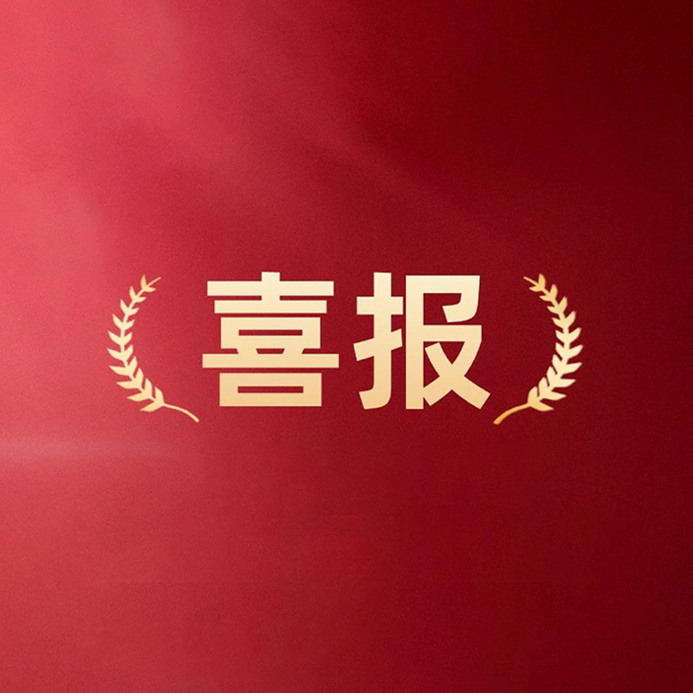 江蘇恒致達(dá)新能源科技有限公司：入選2024年度科技型中小企業(yè)