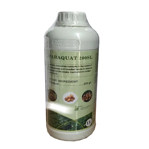 bonsai tree grow kit Bonsai Tree