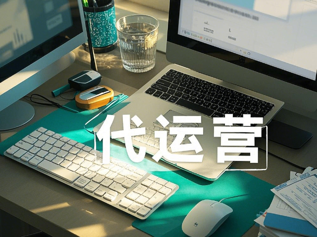 固陽推廣代運營策略 鑄造輝煌 內蒙古深大智能網絡技術服務供應