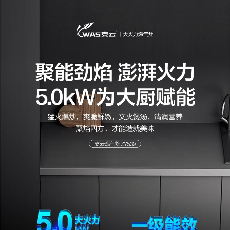 支云燃氣灶ZY539
