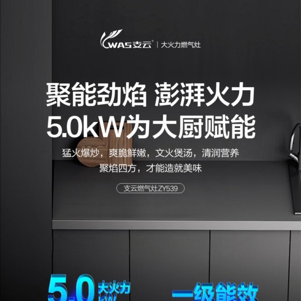 支云燃氣灶ZY539