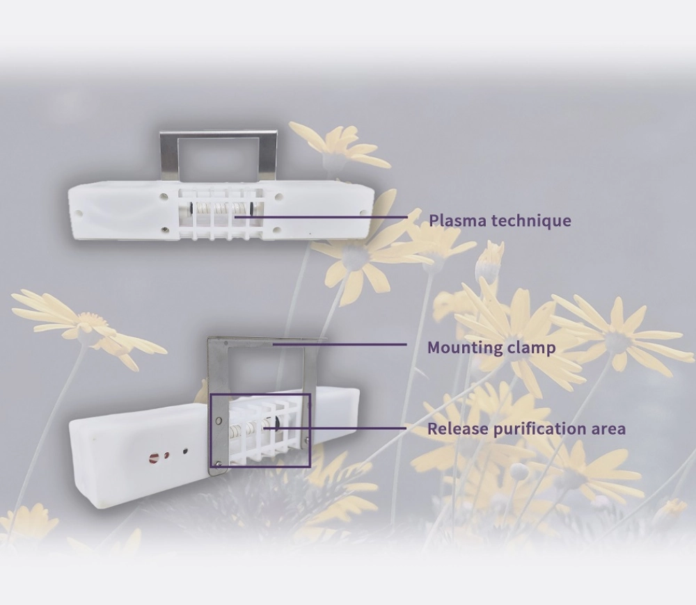 Plasma Air Purifier For Mold