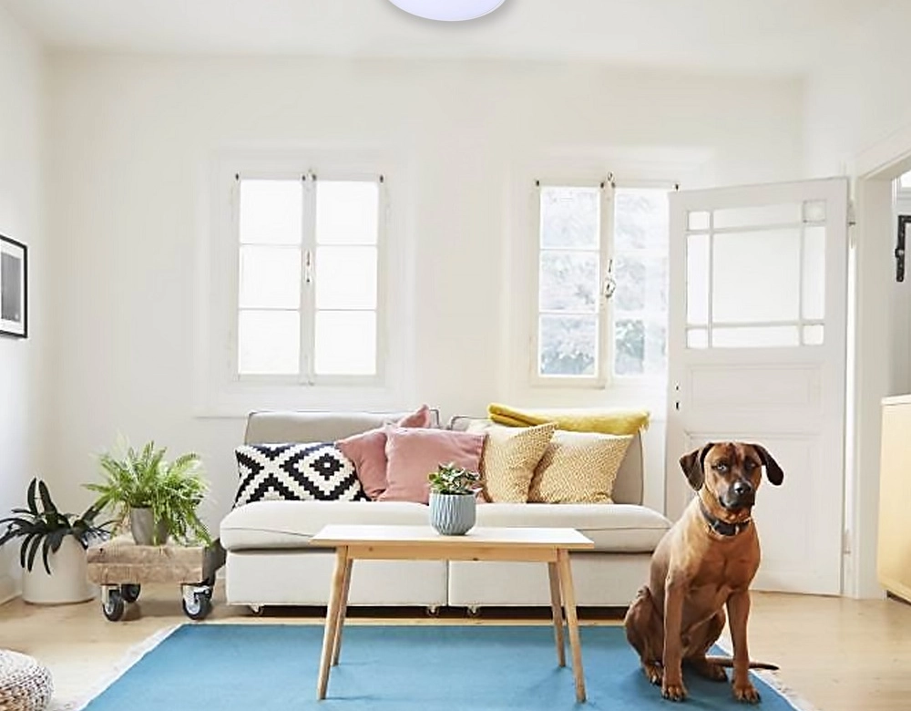 R400 Deodorizing Plasma Air Purifier