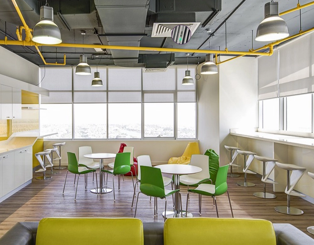 Application of Plasma Air Purifier For Mold in Business Leisure Area