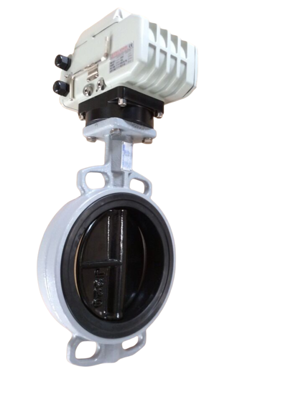 Pneumatic butterfly valve