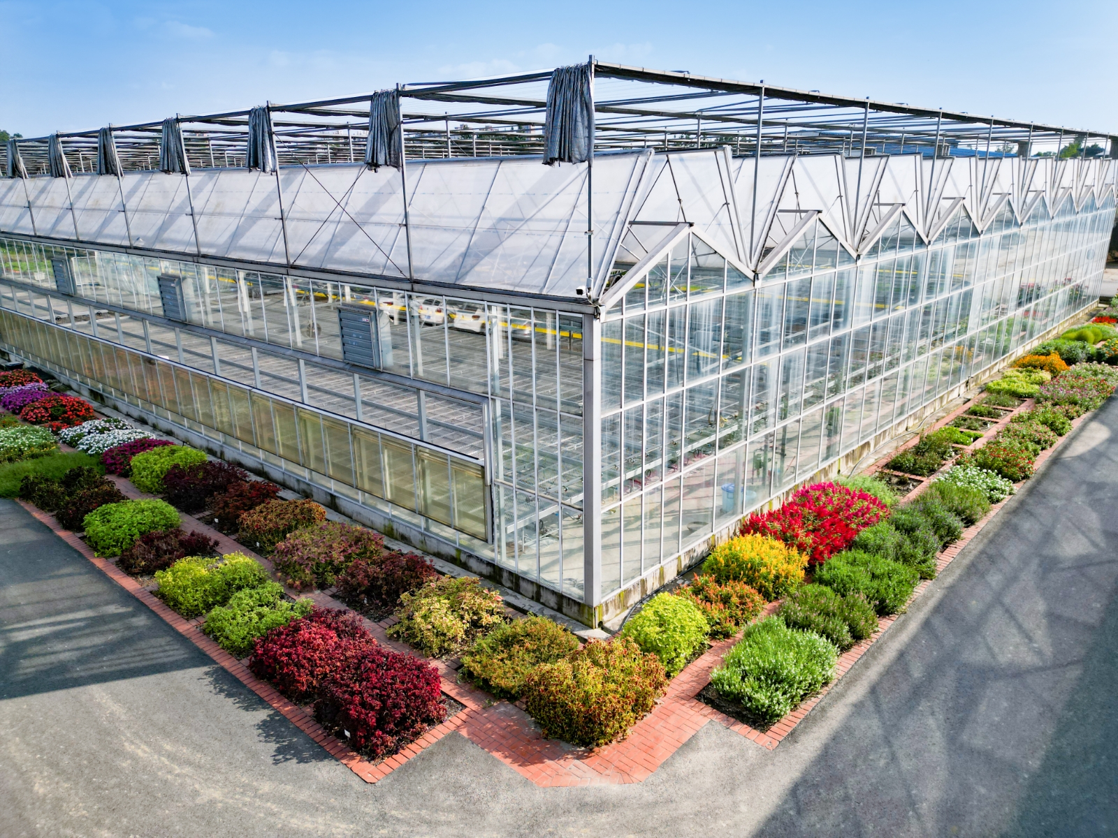 成都金品花卉種苗基地